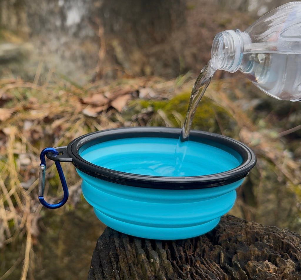Blue collapsible water bowl with carabiner being filled with water outdoors.